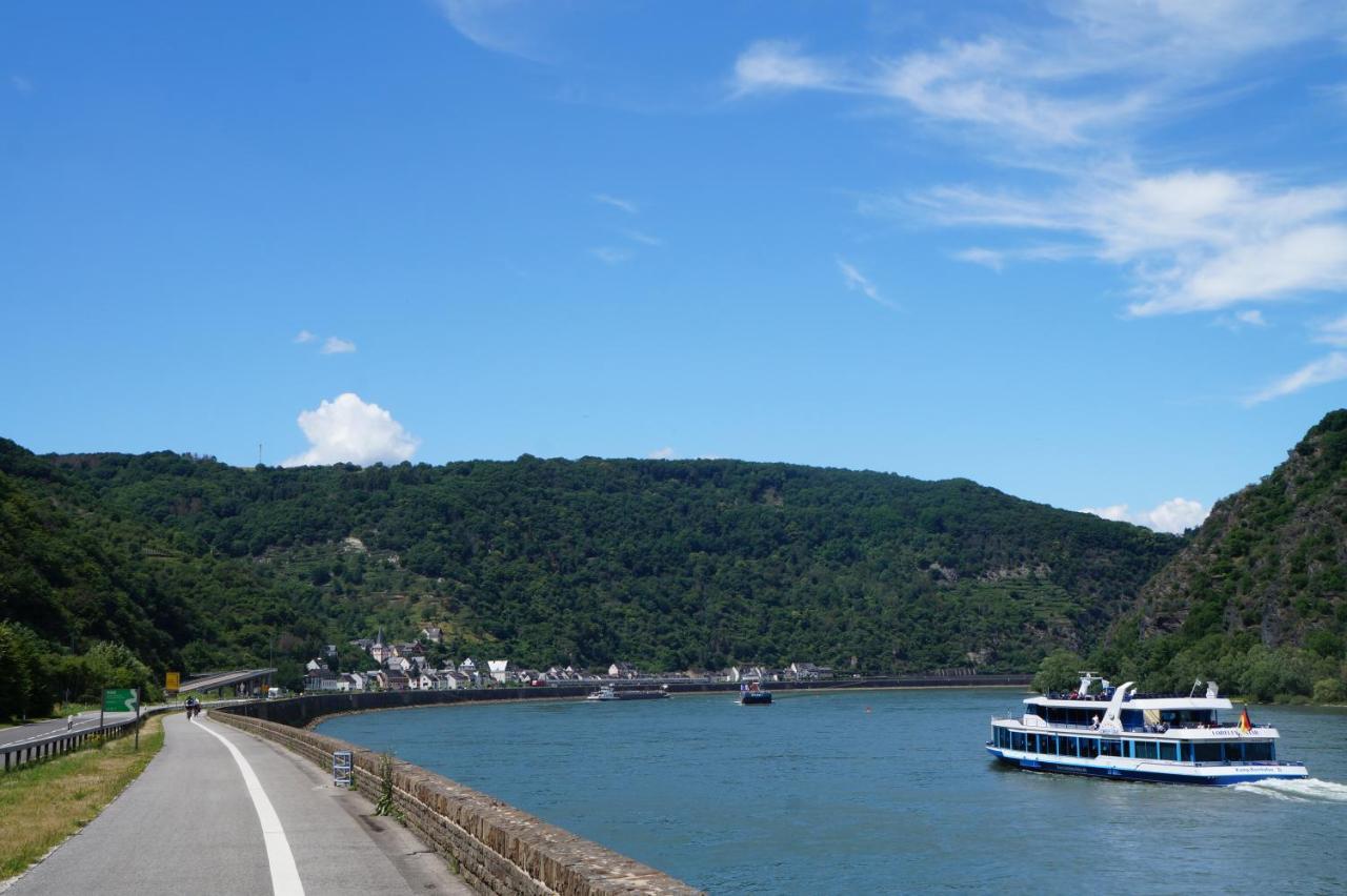 4-Sterne Ferienwohnung Carbach -Perfekt Fuer Radfahrer- Boppard Exterior foto