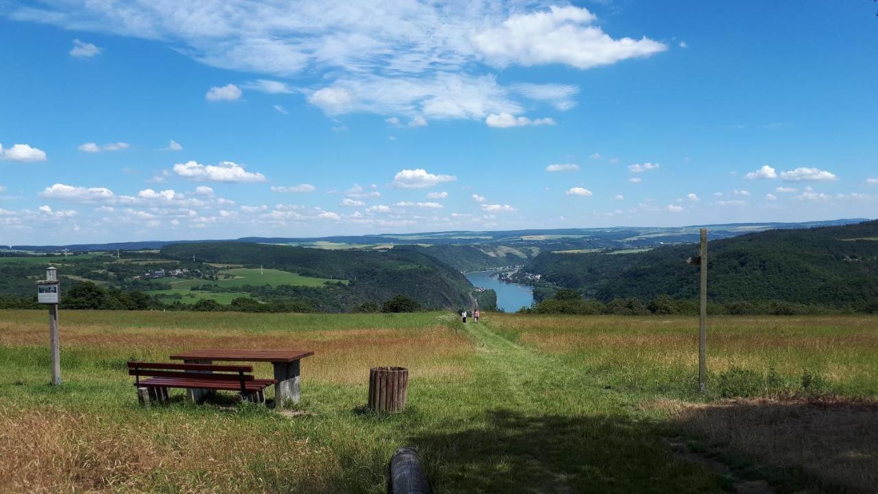 4-Sterne Ferienwohnung Carbach -Perfekt Fuer Radfahrer- Boppard Exterior foto